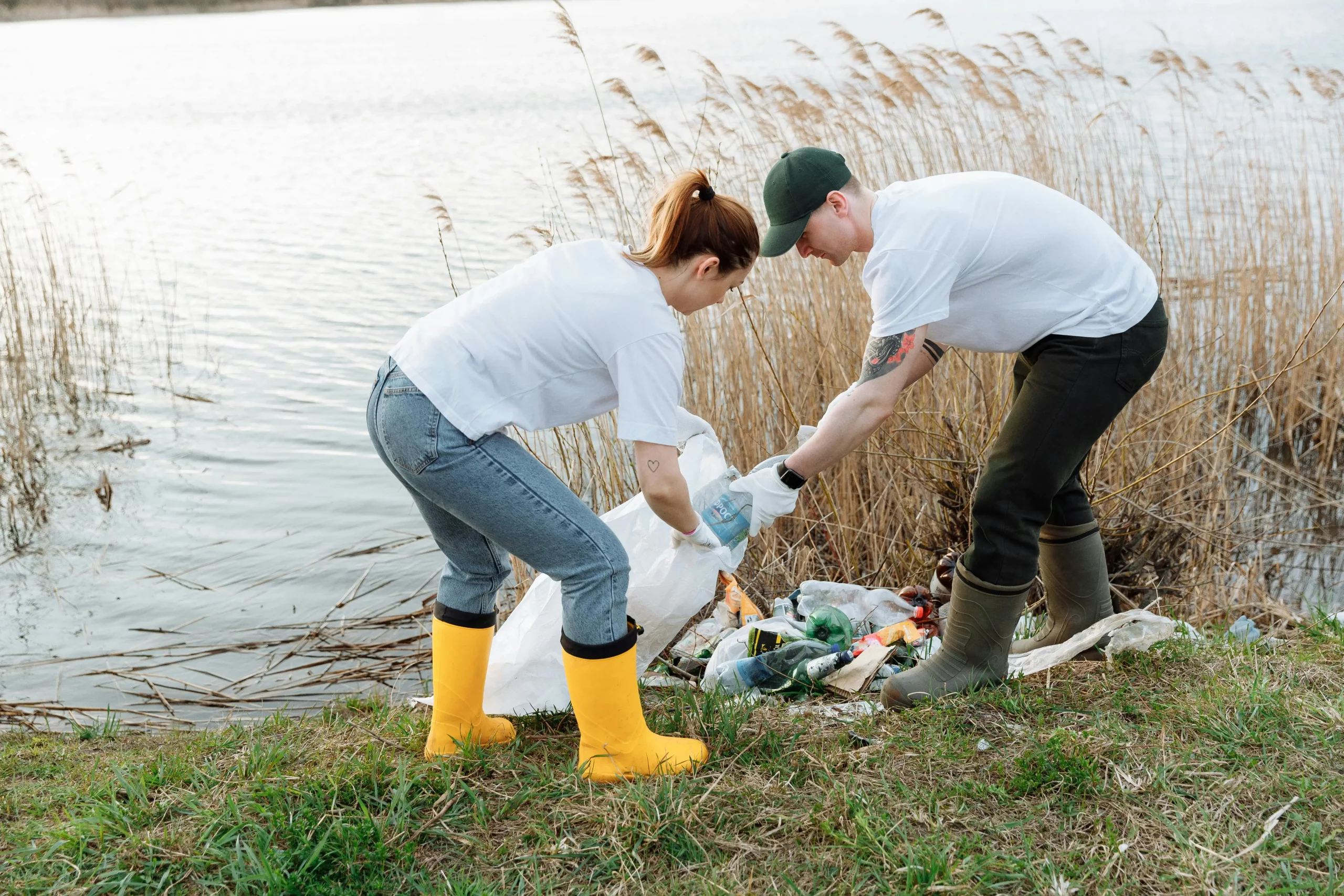Environmental Protection Lawyer: Your Complete Guide to Environmental Laws & Regulations